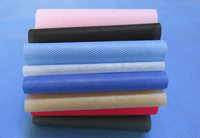 聂拉木涤纶（PET）无纺布是什么