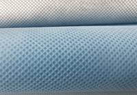 聂拉木(PP)丙纶无纺布跟(PET)涤纶无纺布的区别